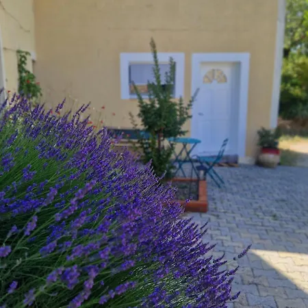 Mas Teranga Dans Les Cevennes * Saint-Privat-des-Vieux